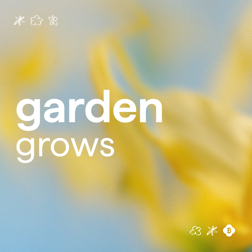 Garden растёт вместе с deBridge