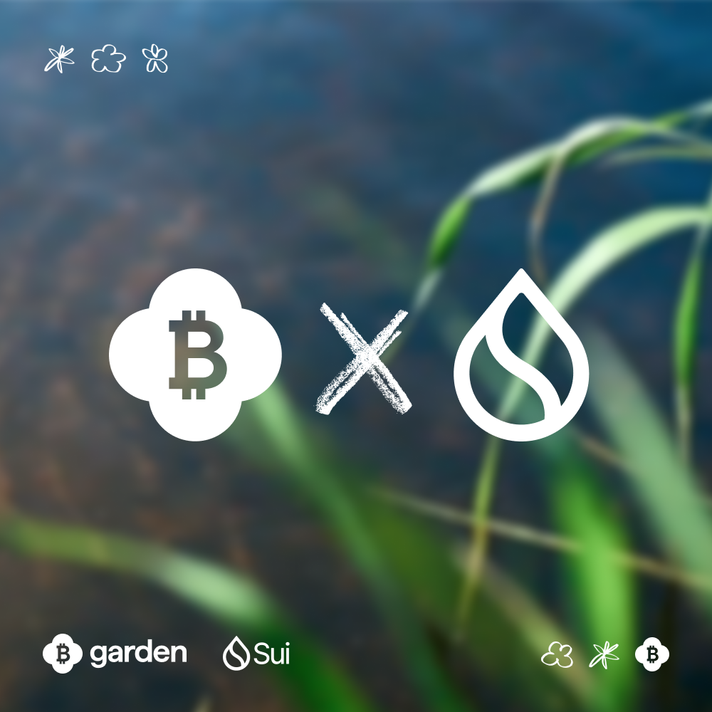 几秒内将 Bitcoin 桥接至 Sui