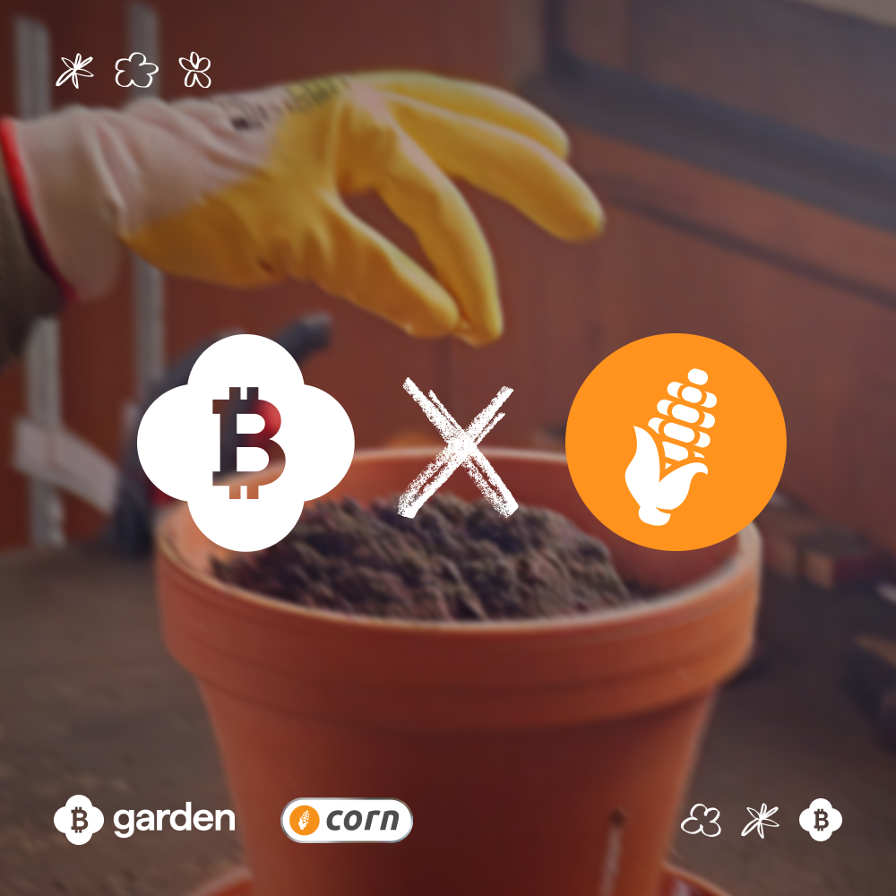 Bridge Bitcoin to Corn in Seconds